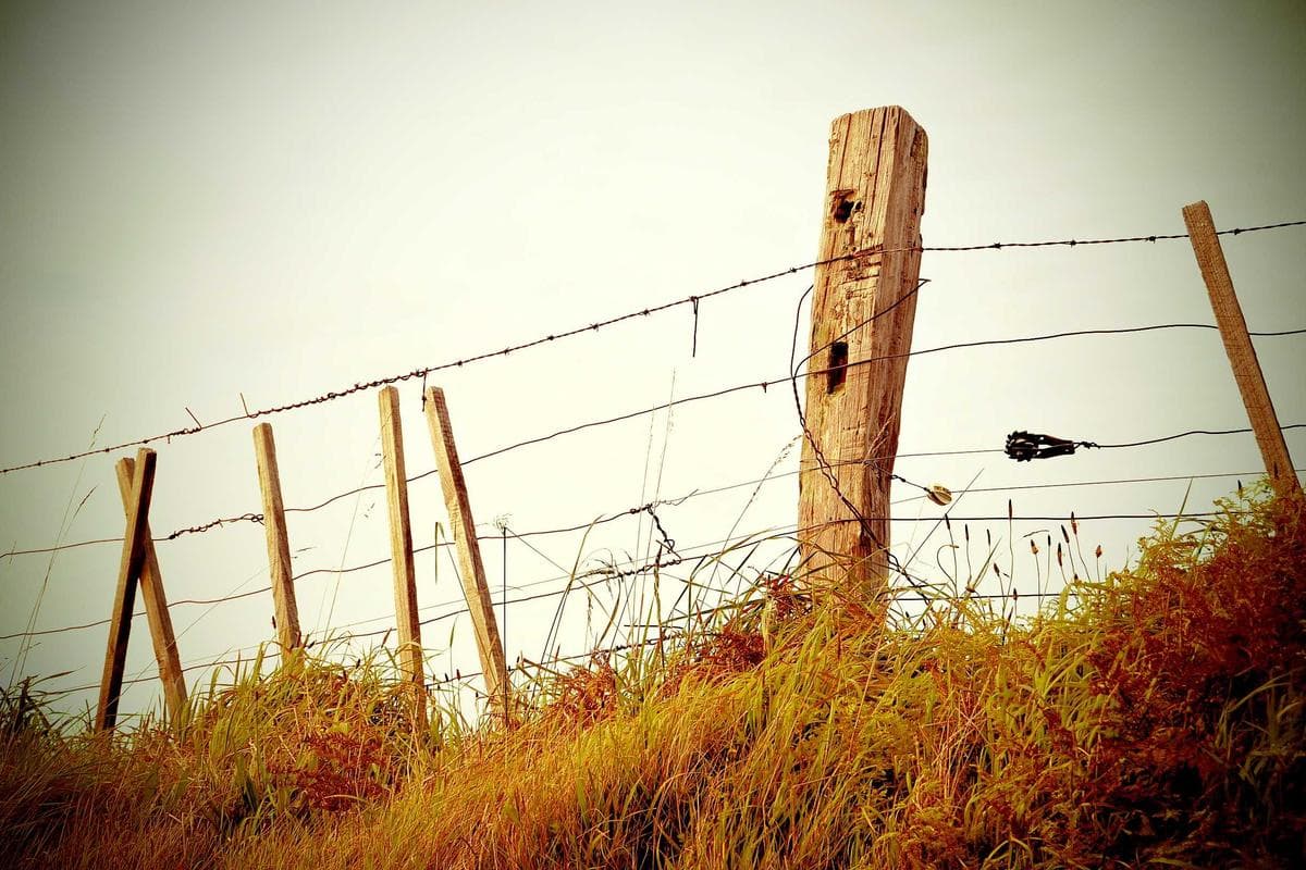 Software Design Patterns